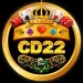 CD22 COM Game