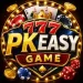 PKEASY Game